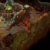 Battle Chasers: Nightwar - [Xbox One] - 3