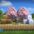 Dragon Quest Builders Day One Edition [PlayStation 4] - 6